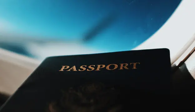 loss of citizenship south africa