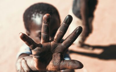 Home 12 Home Affairs’ institutional fragility: the consequences of inadequate capacity